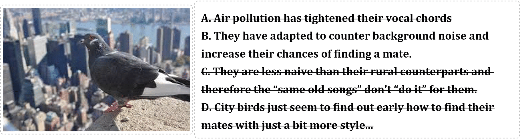 TriviaQuestions20240303a_19.gif