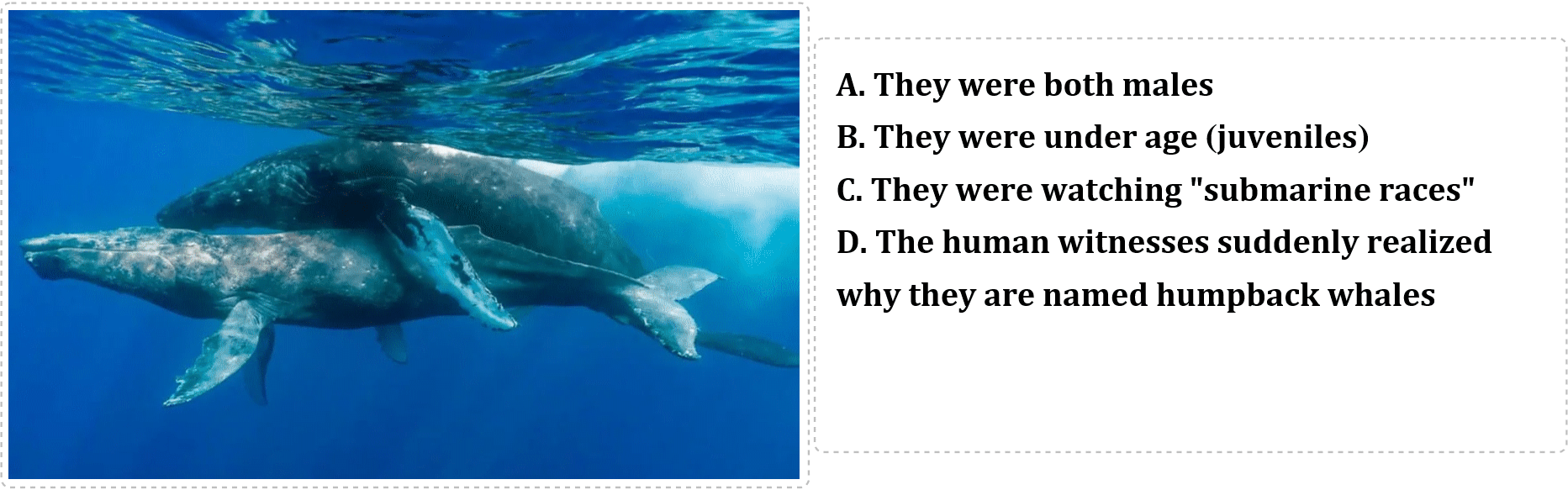TriviaQuestions20240303a_3.gif